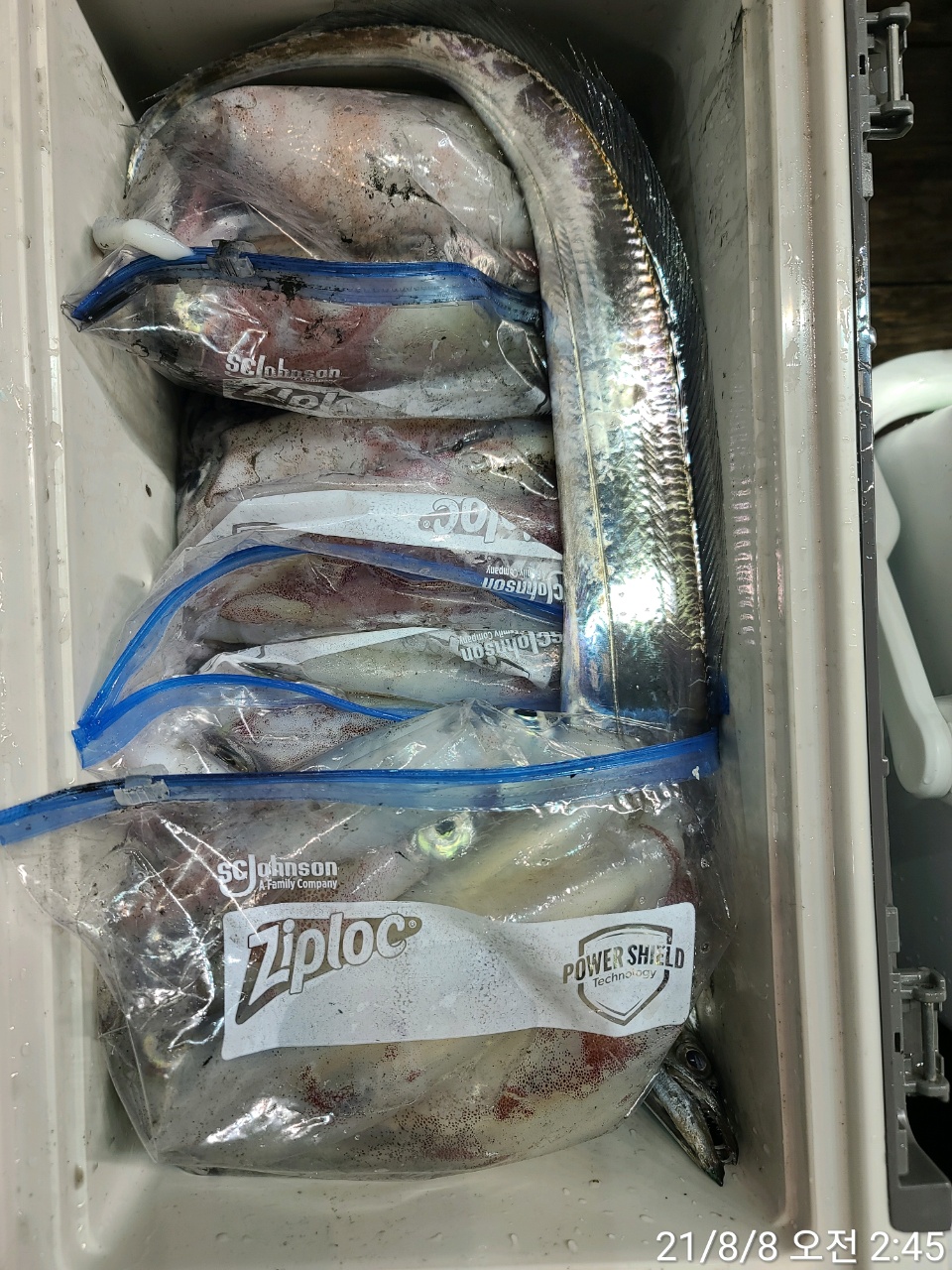 media&amp;token=2ddea636-9321-416b-b5e6-8f3f419e5d38