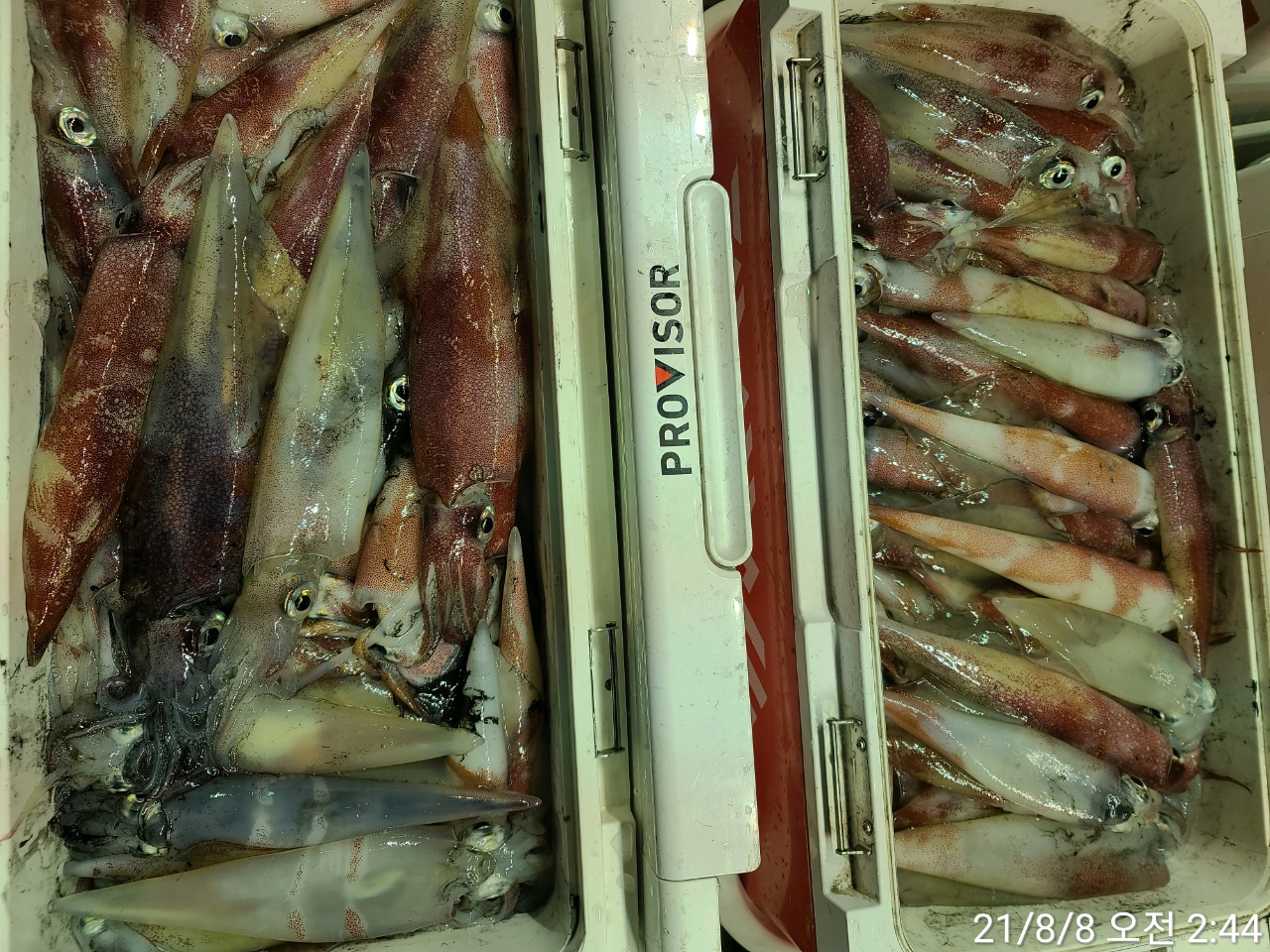 media&amp;token=1903ddd8-ceff-48c1-a327-c4e6ecf153e5