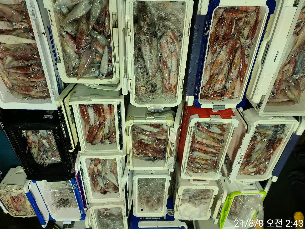 media&amp;token=1687a925-3998-4e5d-8721-df1b681f22fe