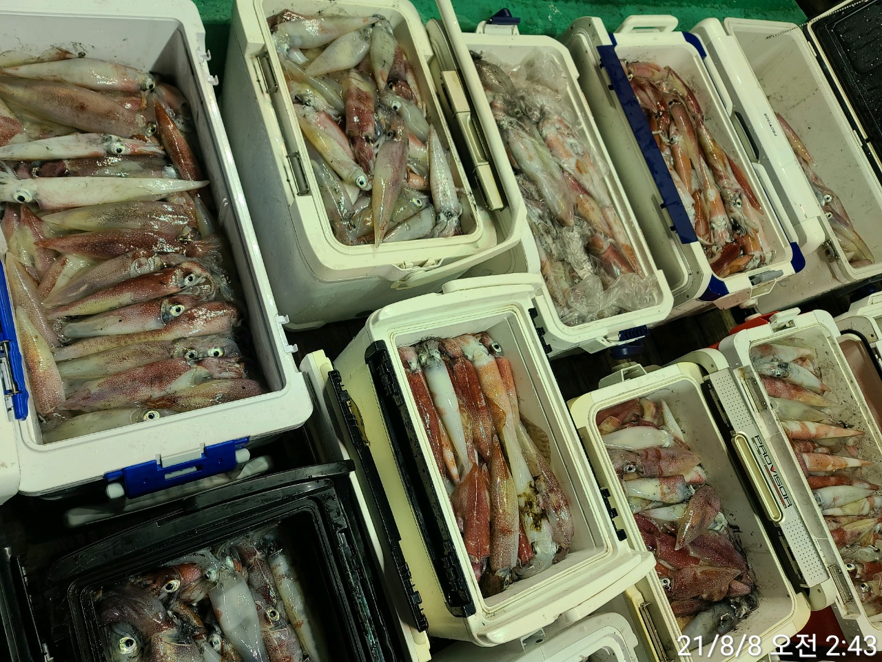 media&amp;token=81cdd1c5-8b72-4b6a-9685-a56ad636a925