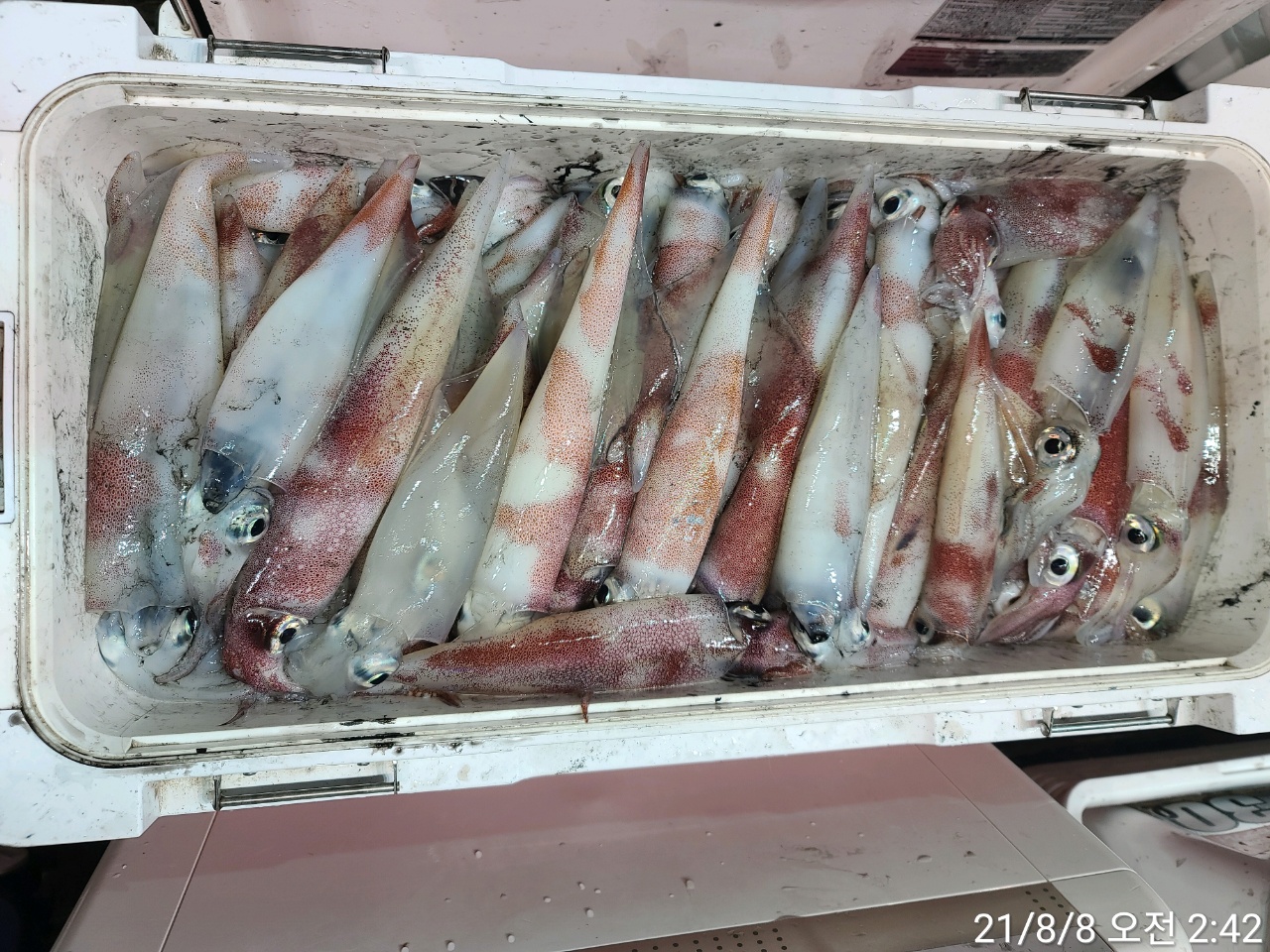 media&amp;token=6d679ec7-f796-4d52-95ba-72e264d709ef