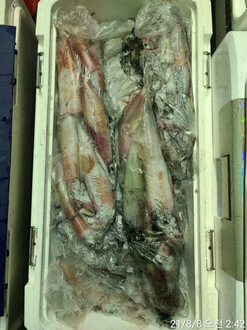 media&amp;token=968f6e5e-da3d-43d7-8bca-20952cc510b7