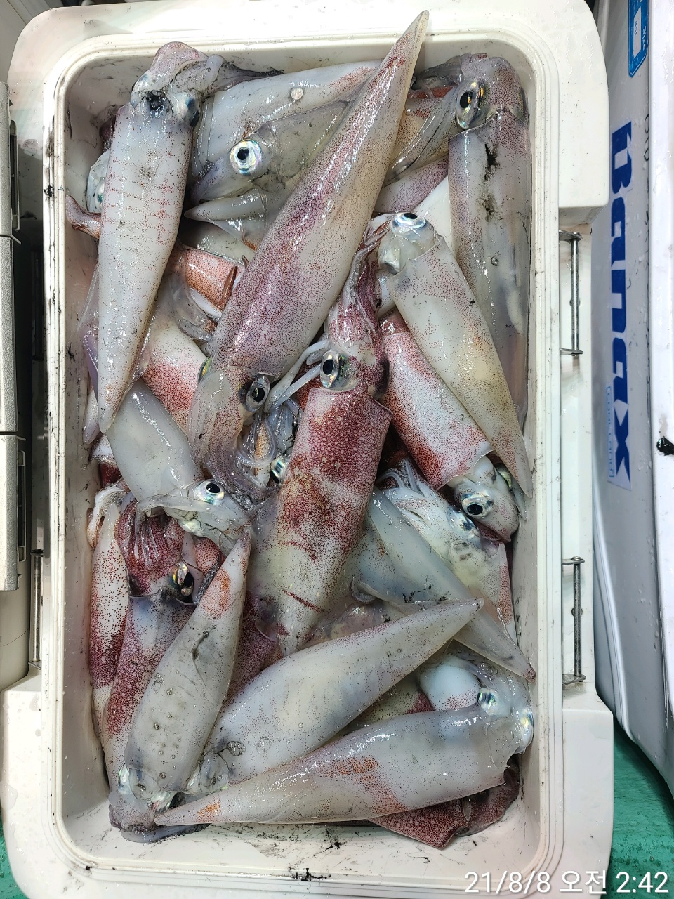 media&amp;token=0ee82393-8a3e-4d59-8525-604b16715ec3