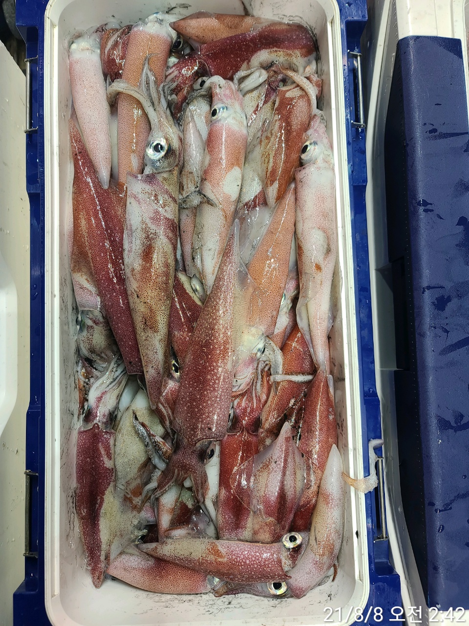 media&amp;token=bd5d0864-ca56-487b-981c-94b5451e3d27