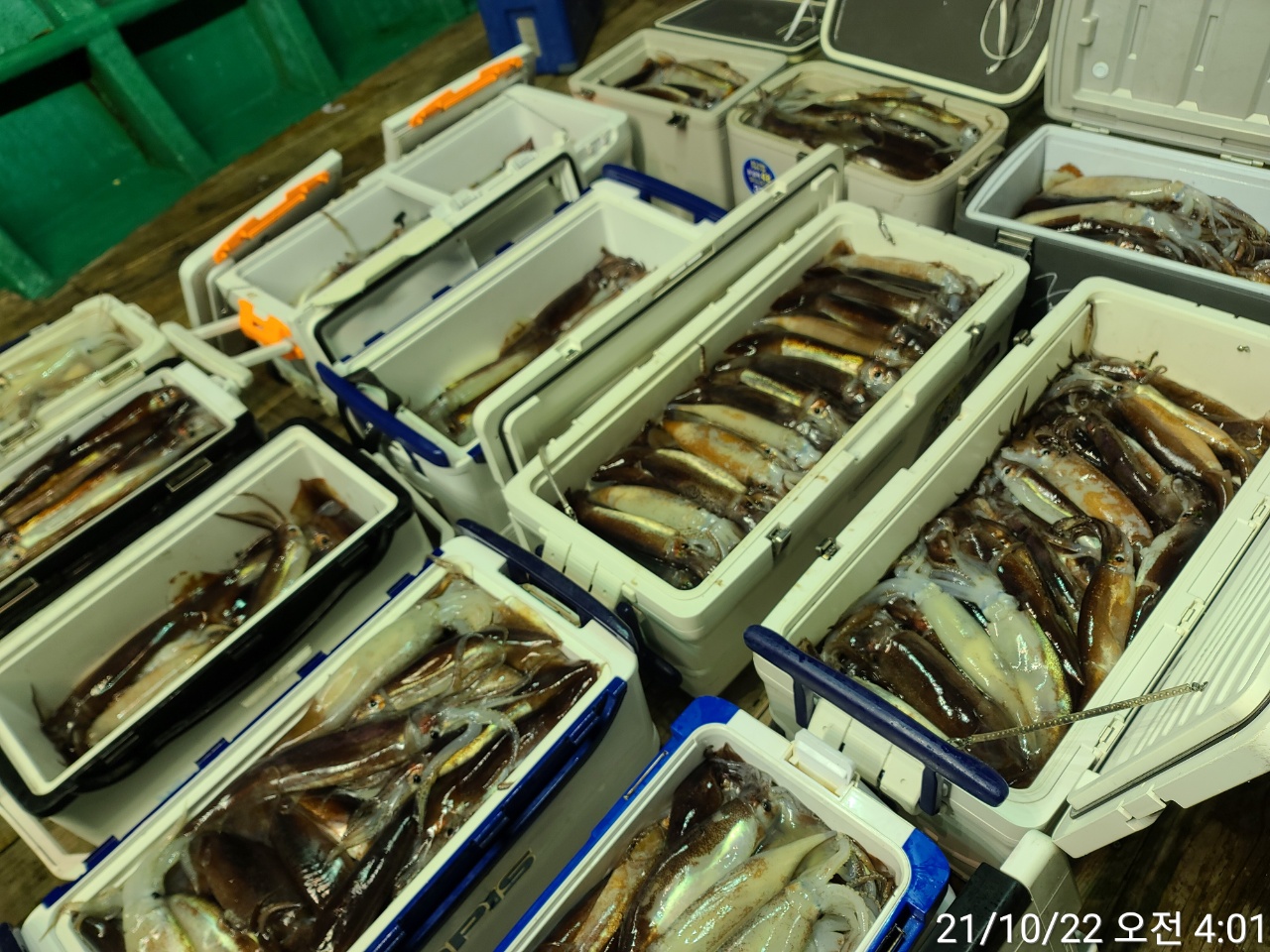 media&amp;token=68cfac06-5b0b-467c-a6f7-83c16409924a