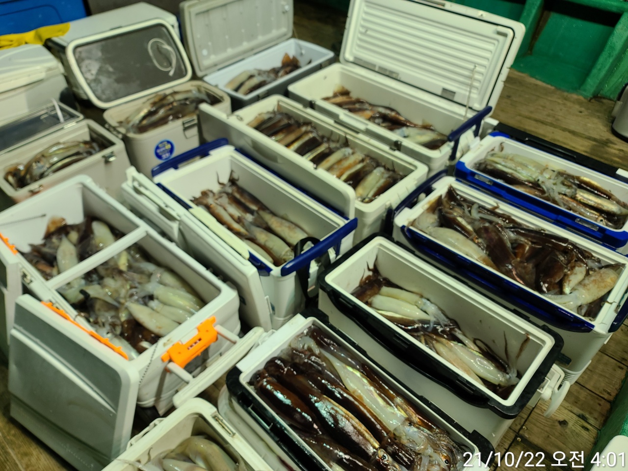 media&amp;token=8724bd04-8a31-4f98-94d7-d8ab7a71c3b2