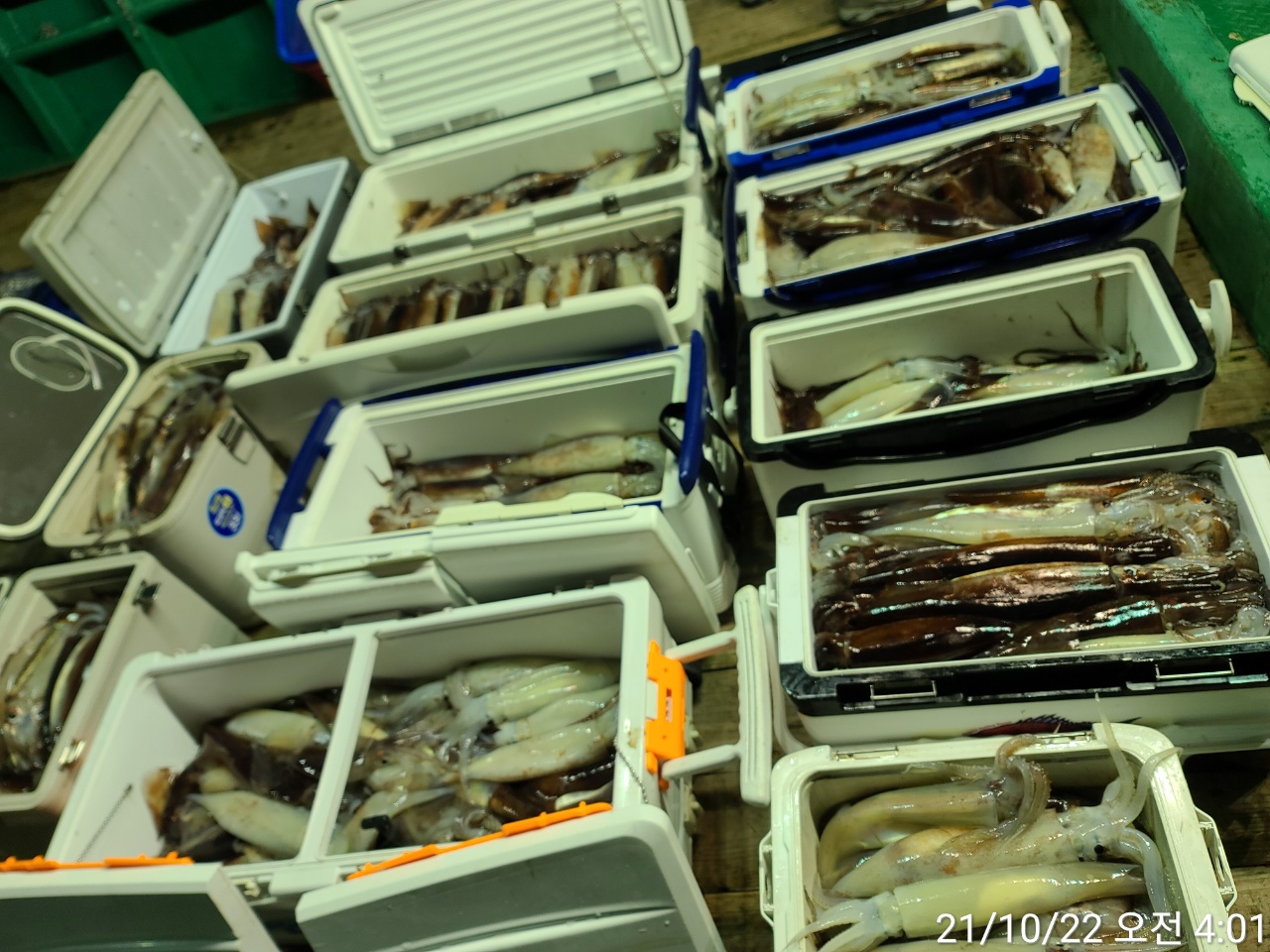 media&amp;token=fdf4e966-a877-439c-b4b6-9359ff20e295