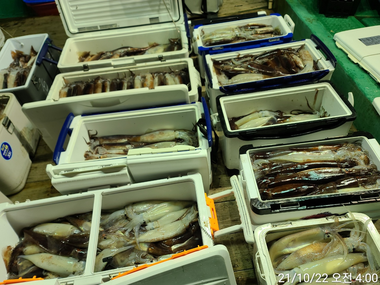 media&amp;token=778d2ef5-859a-4b90-81c7-51f5aebe4cbb