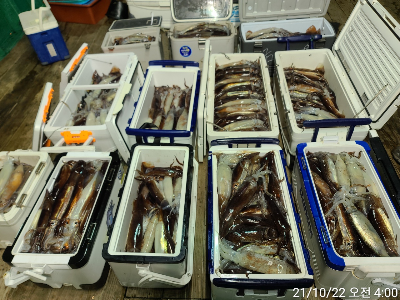 media&amp;token=80ac079f-7d65-4397-a1e3-61b72e3e2fe2