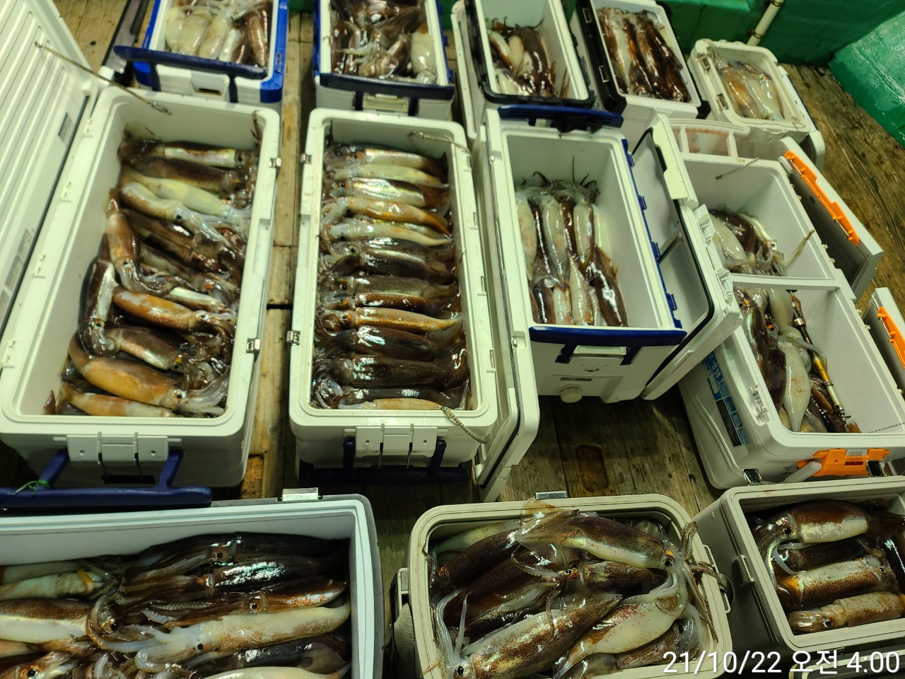 media&amp;token=4effd2c7-2cb8-44ee-9fc2-a0f8b323a92b