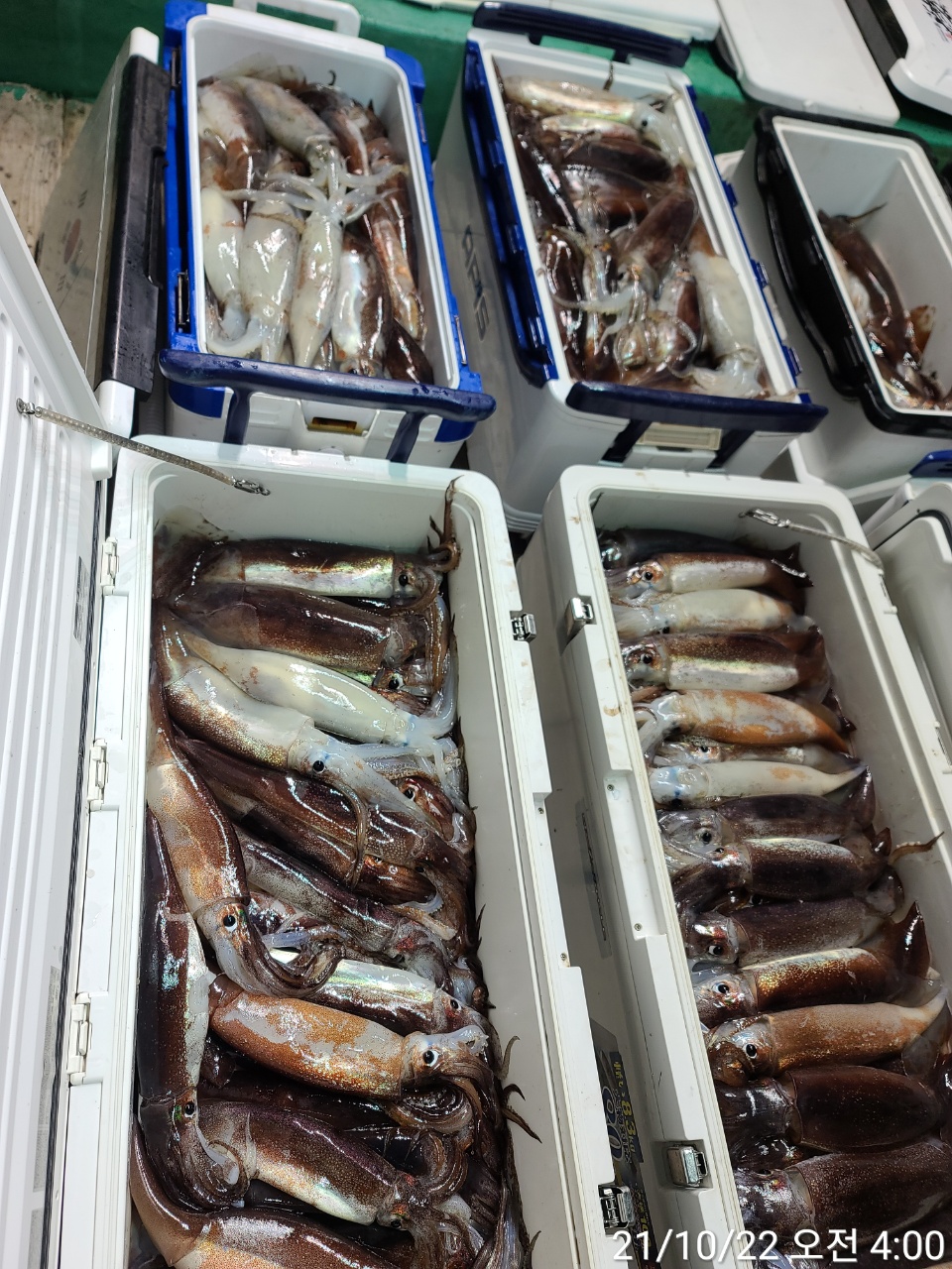 media&amp;token=c30369cc-bda3-43e0-bb01-de4f5387fe72