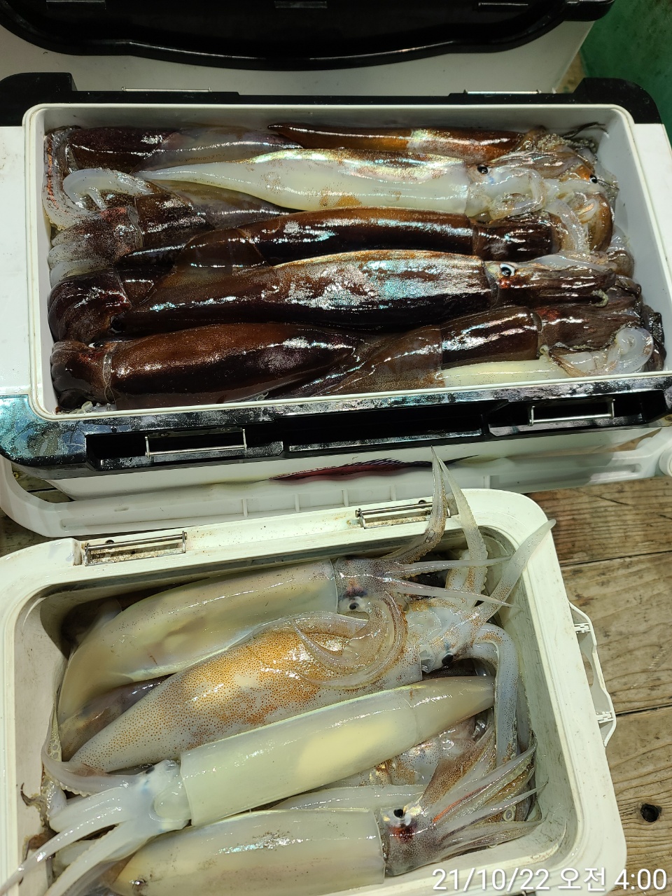 media&amp;token=b5ef1f9f-259f-45f4-b1d8-13849ec74f6c