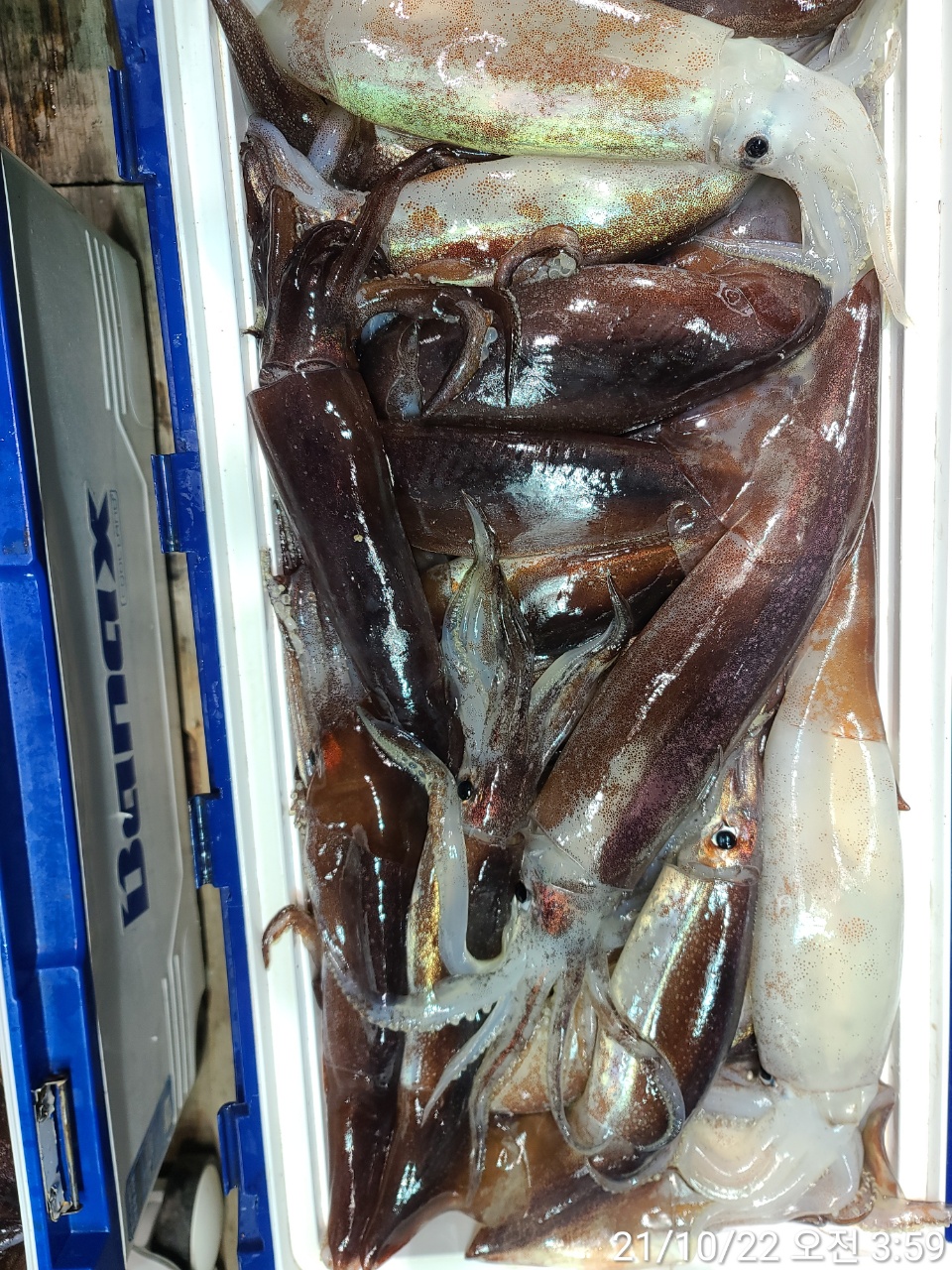 media&amp;token=1557485b-e2f5-4c22-9872-cf3eb4bce853