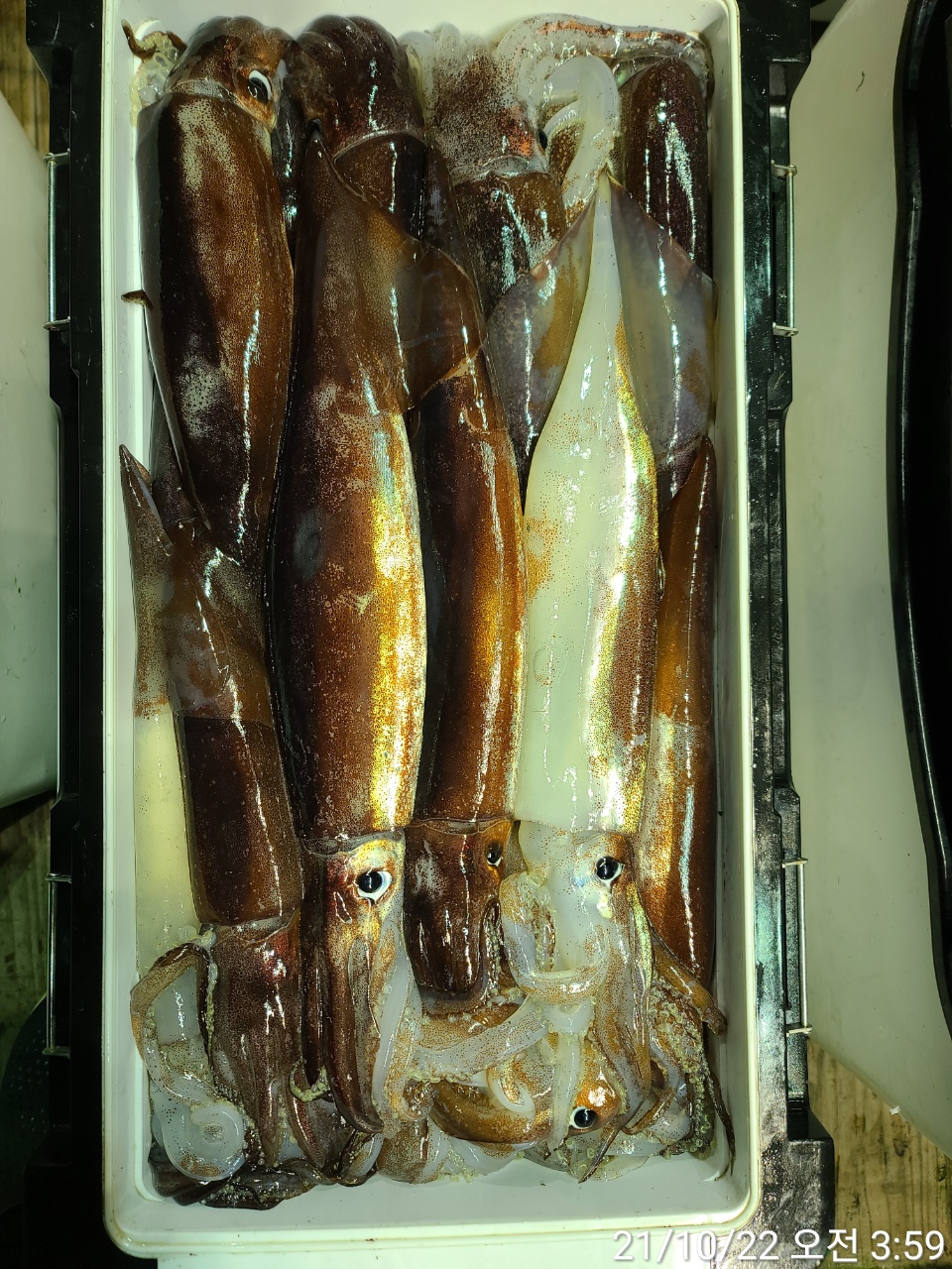 media&amp;token=01b8a573-cda1-408e-93cc-b05a6ae59121