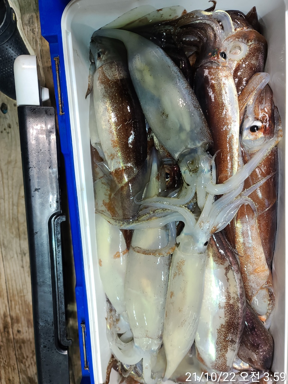 media&amp;token=099b059e-b260-41bb-a61b-2fa4e2764419