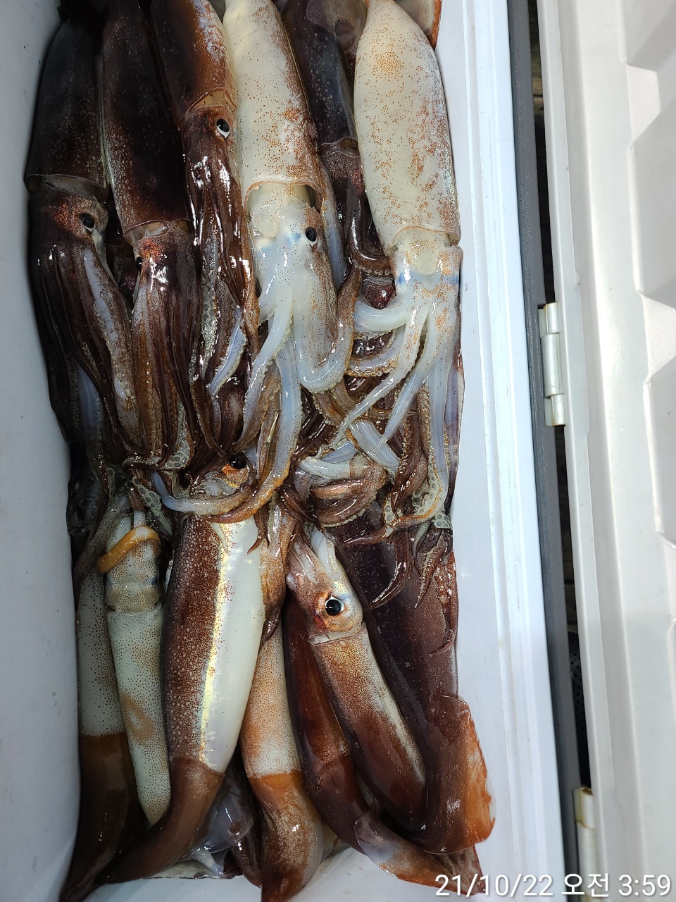 media&amp;token=eea348aa-e5c5-44af-9232-ce8019a05ae0