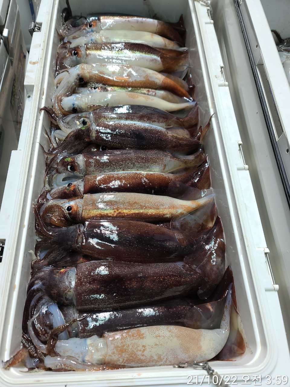 media&amp;token=f9404c0a-b354-41b1-b65d-a067a1380200