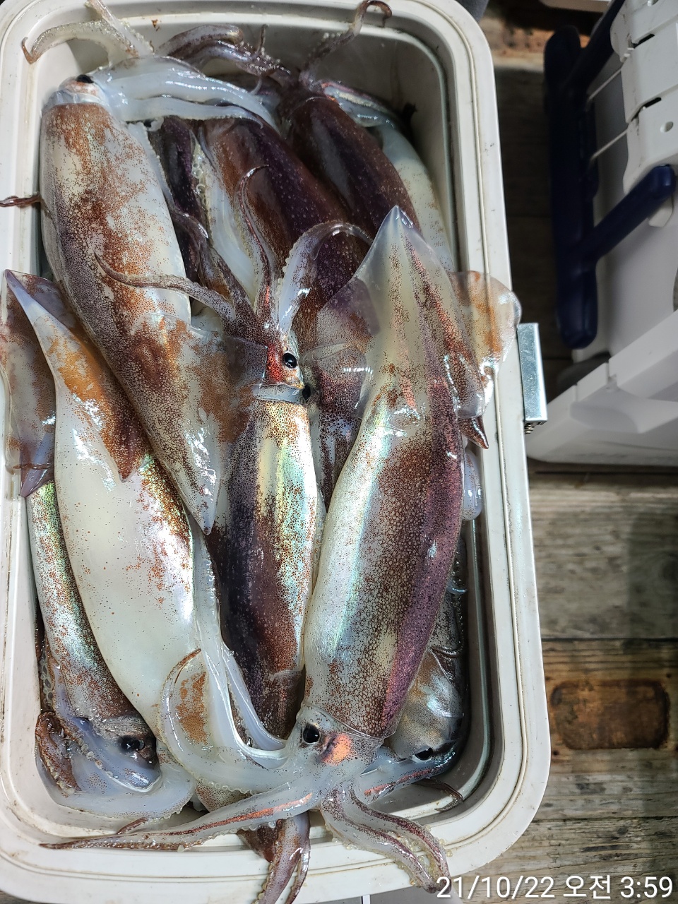 media&amp;token=d017883e-4177-4237-9ae7-d4c742b6c143