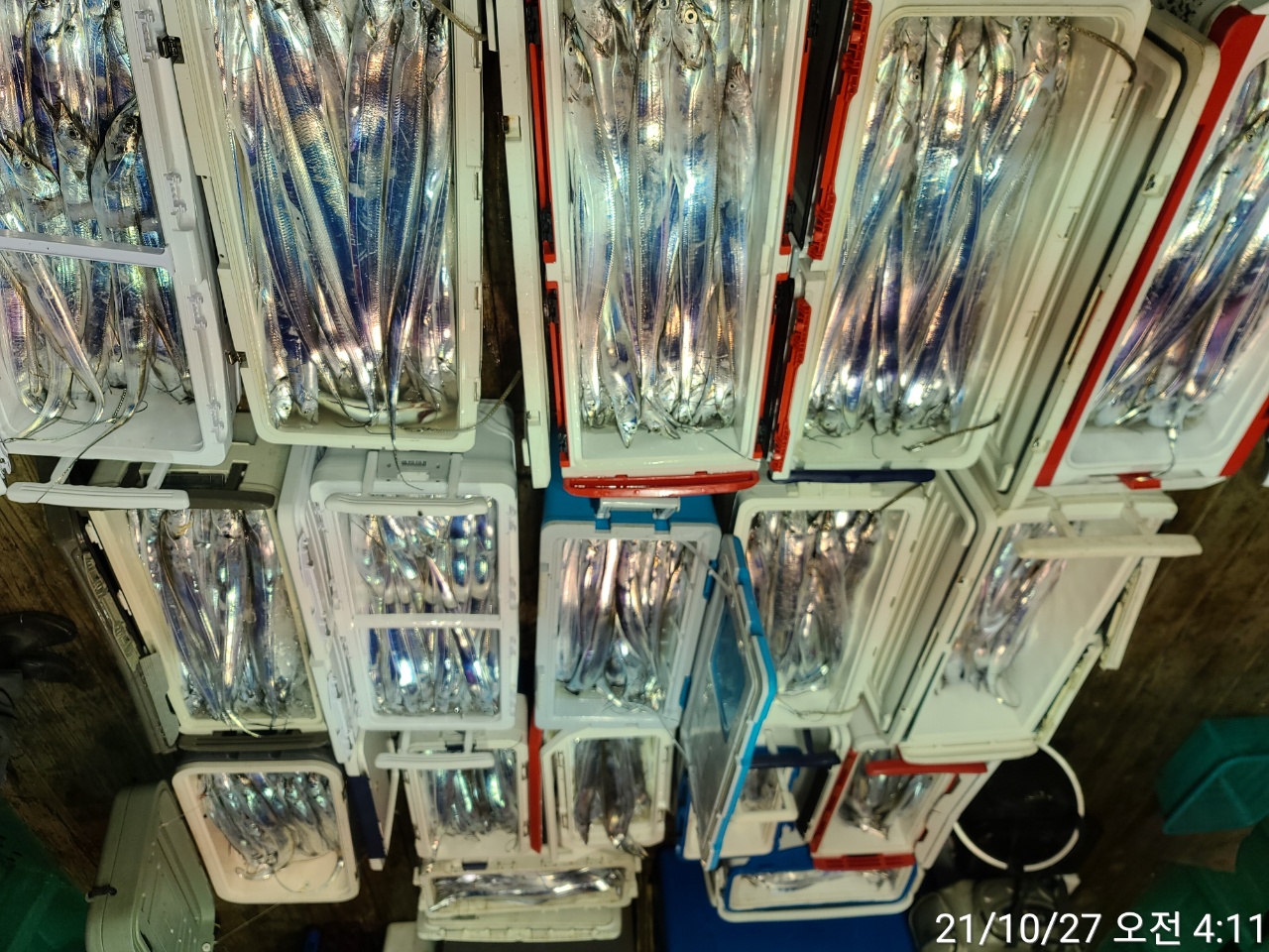 media&amp;token=e80f6b0c-41b8-44e9-9973-8e6af4ba3d81