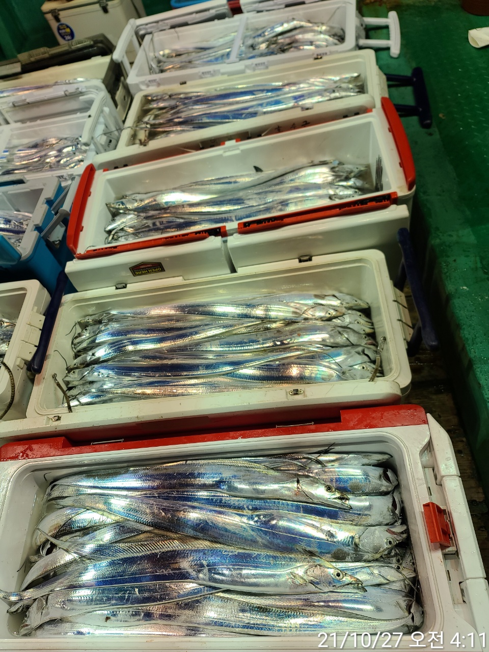 media&amp;token=08a46da5-2ae7-46ef-bf99-08c545383aff