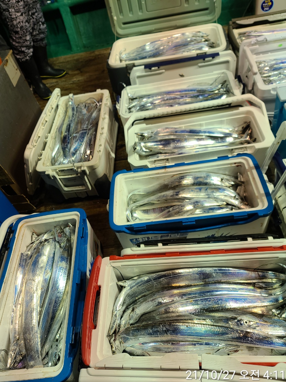 media&amp;token=f5098276-9bce-45f5-ae5f-04dafeab9fdb