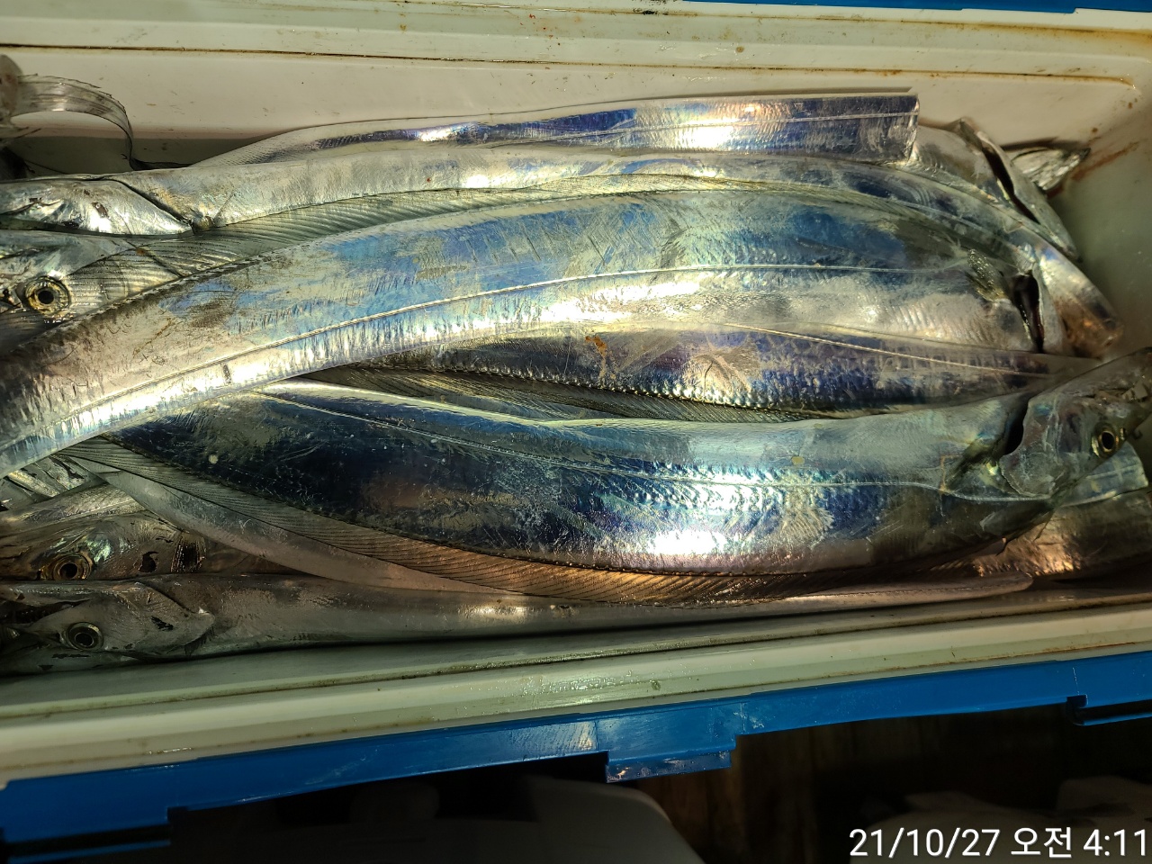 media&amp;token=ab5e20e3-5265-4b24-8d7b-c690a27d1a31