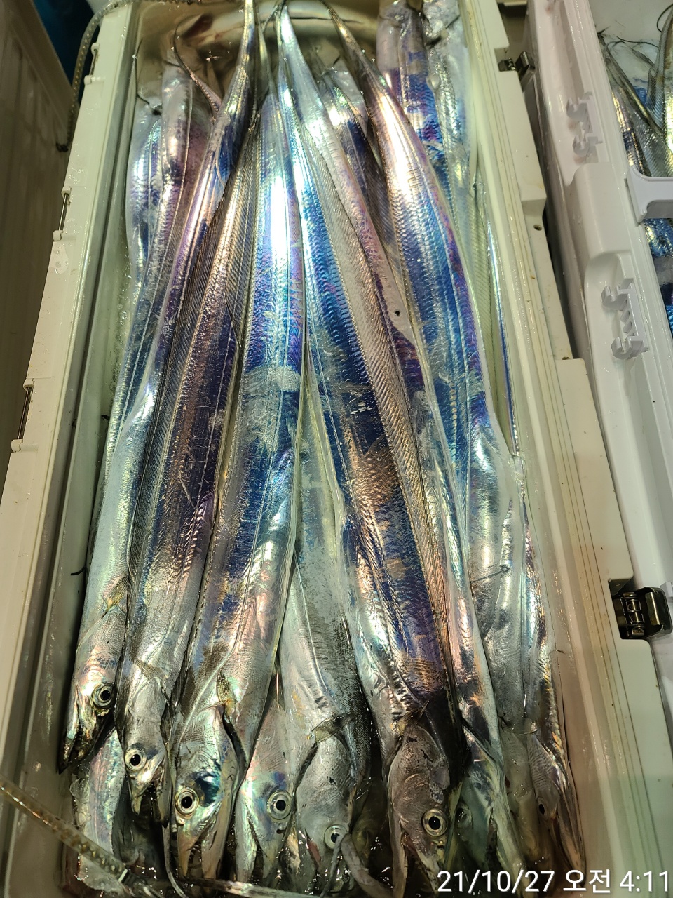 media&amp;token=3f8f7c5d-709c-4935-825b-22bd50d34ea3