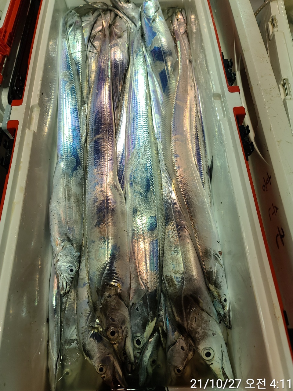 media&amp;token=e85bc018-f14b-4da3-bcea-00cf940c4a22