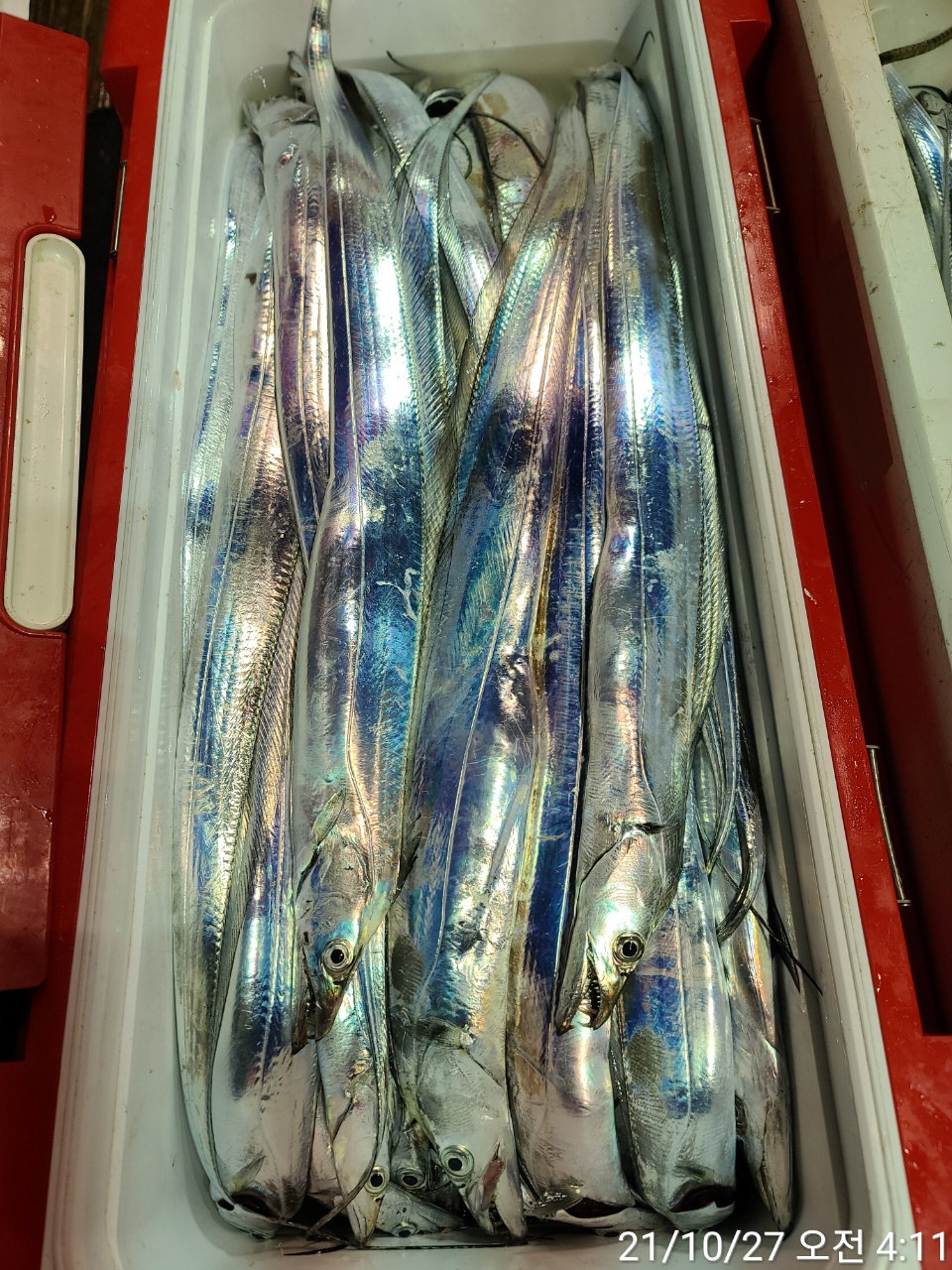 media&amp;token=c8b1fc74-5c59-4acb-9abb-7afe61a9b314