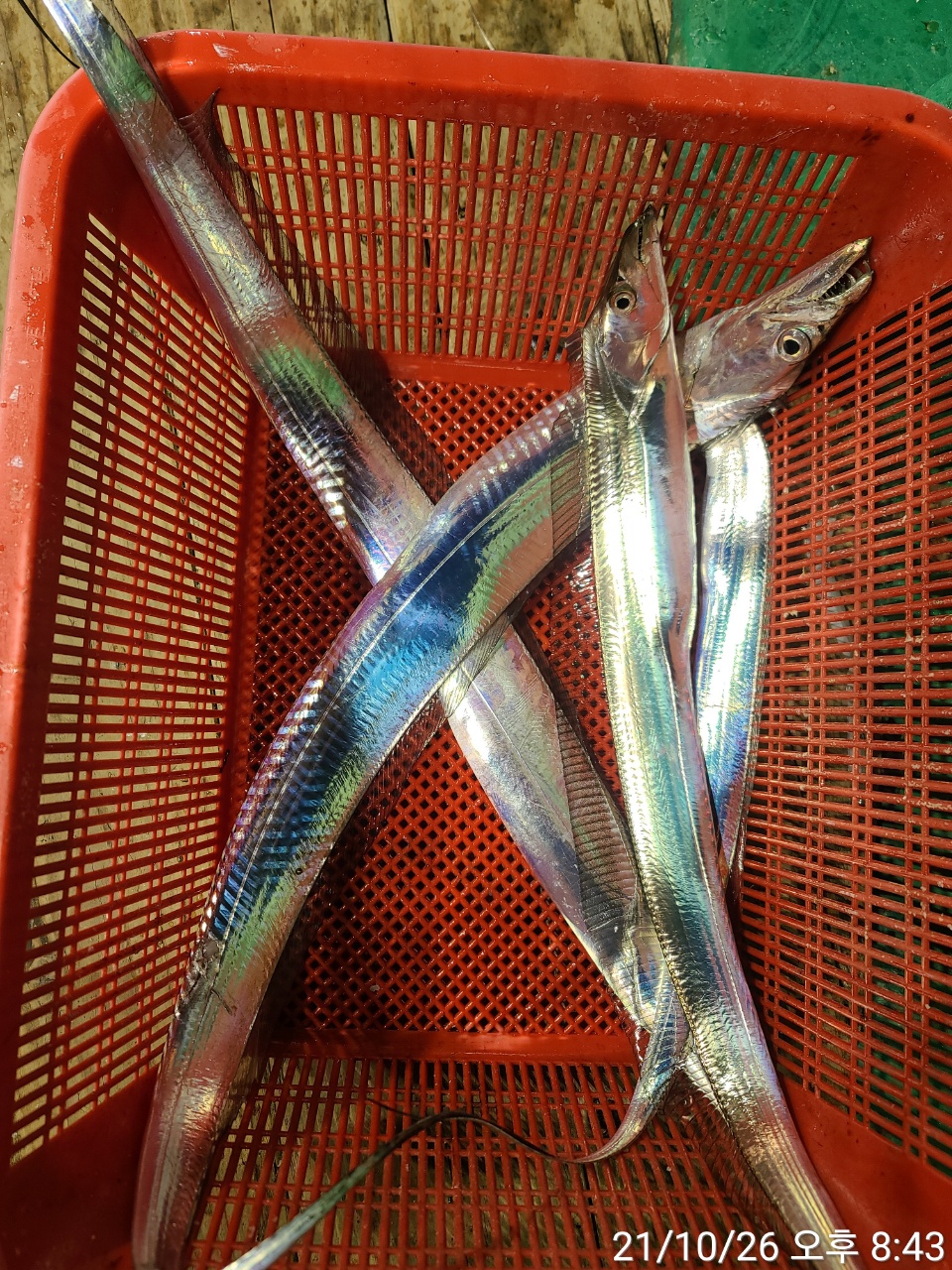 media&amp;token=5ae06eaf-2d78-4dbe-b2b8-5bca643a9331