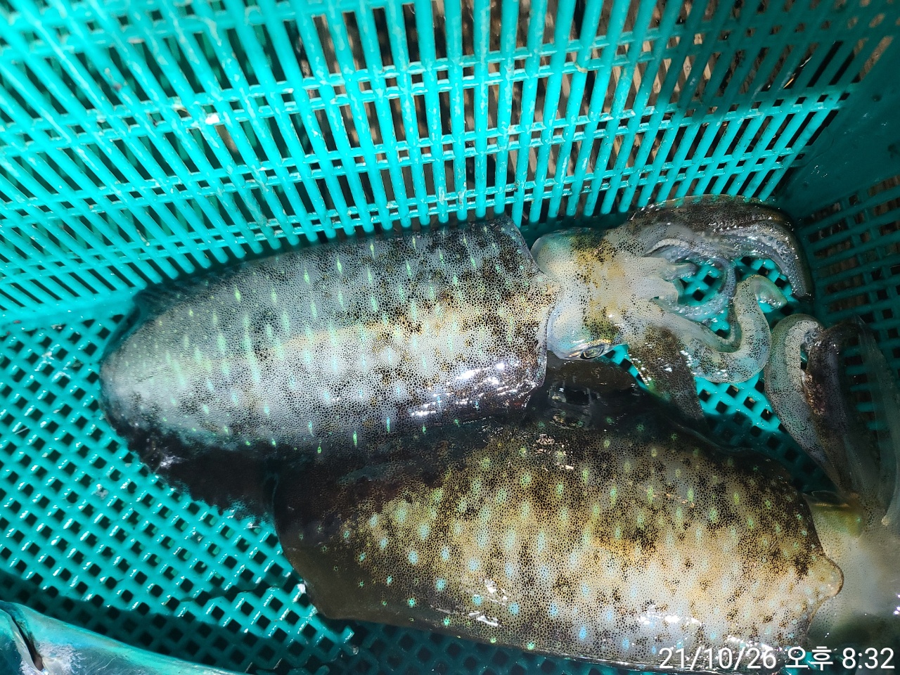 media&amp;token=7cfe4f69-f727-4138-acbd-6a9f1a486e90