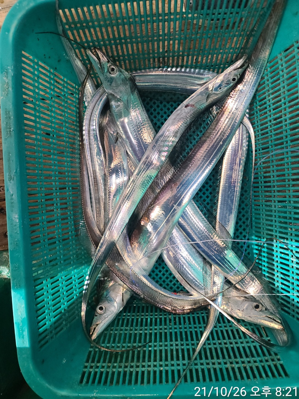 media&amp;token=e8d9efbd-000d-4623-8198-737a13814e92