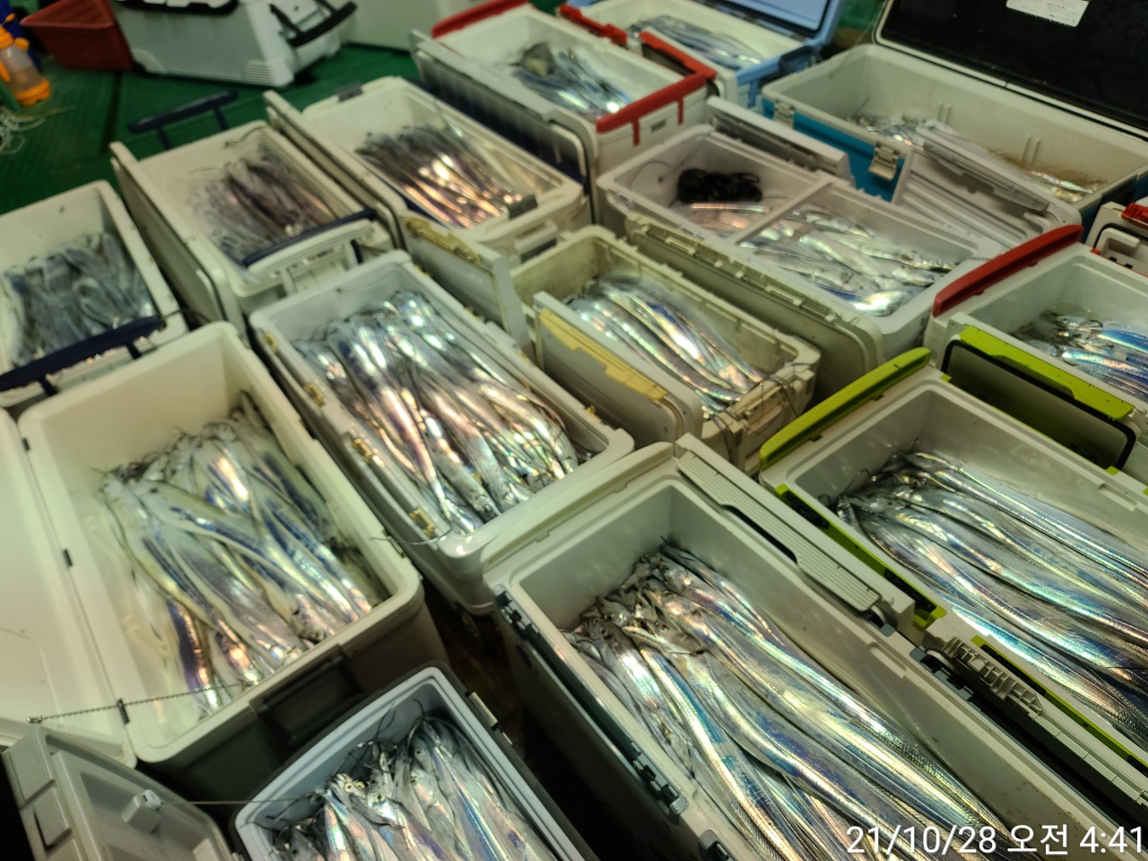 media&amp;token=cc1f7a16-ba24-4a05-82d3-21814571e512