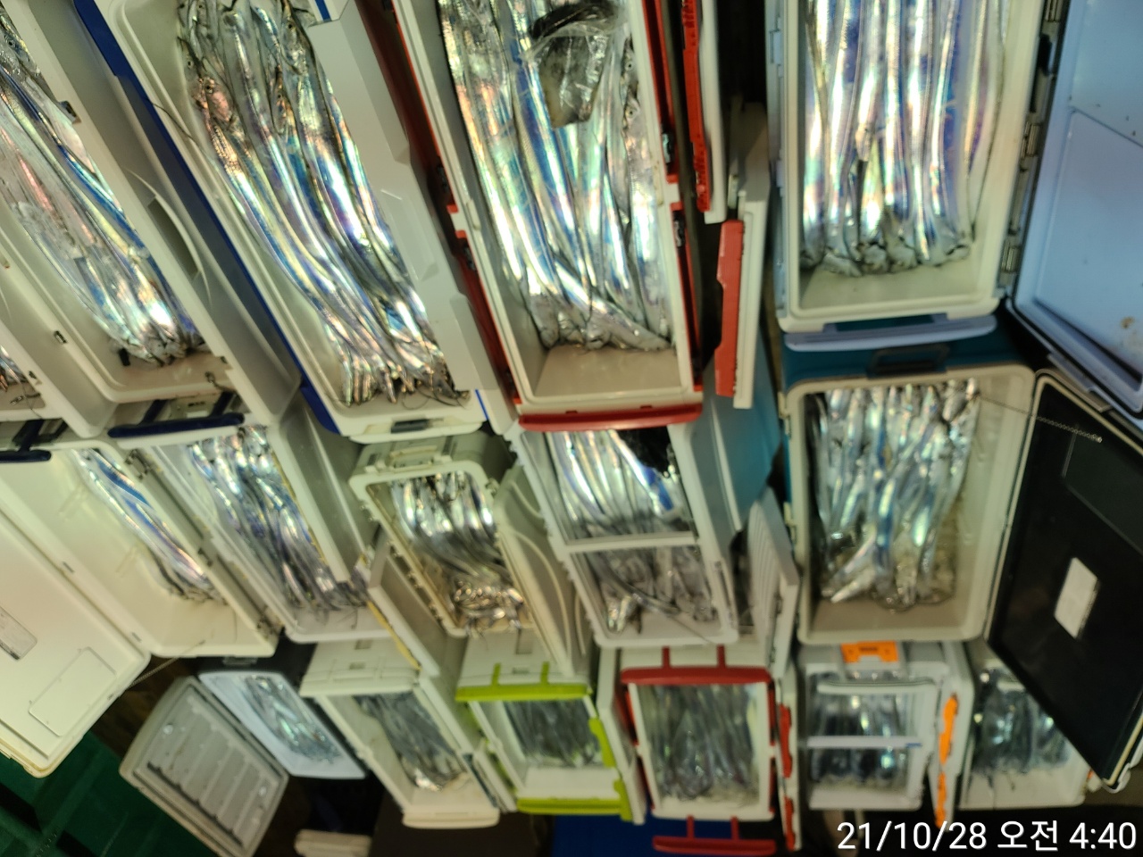 media&amp;token=7830b8d8-751a-4aae-810e-1310dc54febd