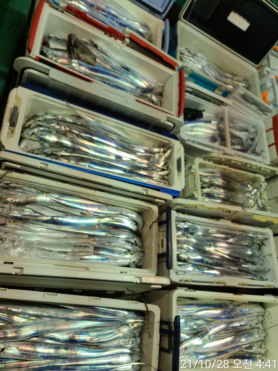 media&amp;token=6ebf3fd1-9cab-4815-a5ca-74fcc4189d28