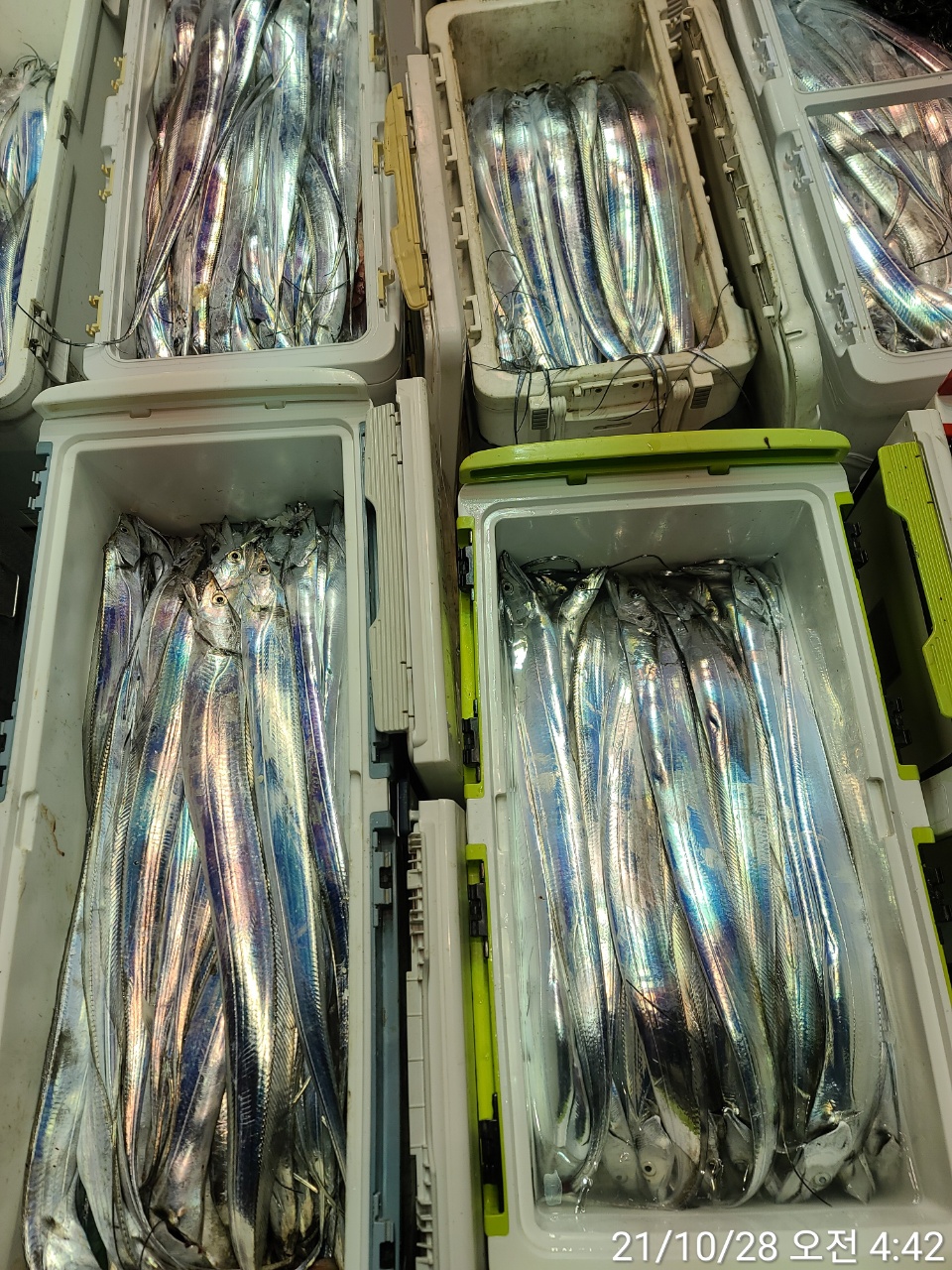 media&amp;token=cb3db6d2-47bc-445f-928f-176ca669179c