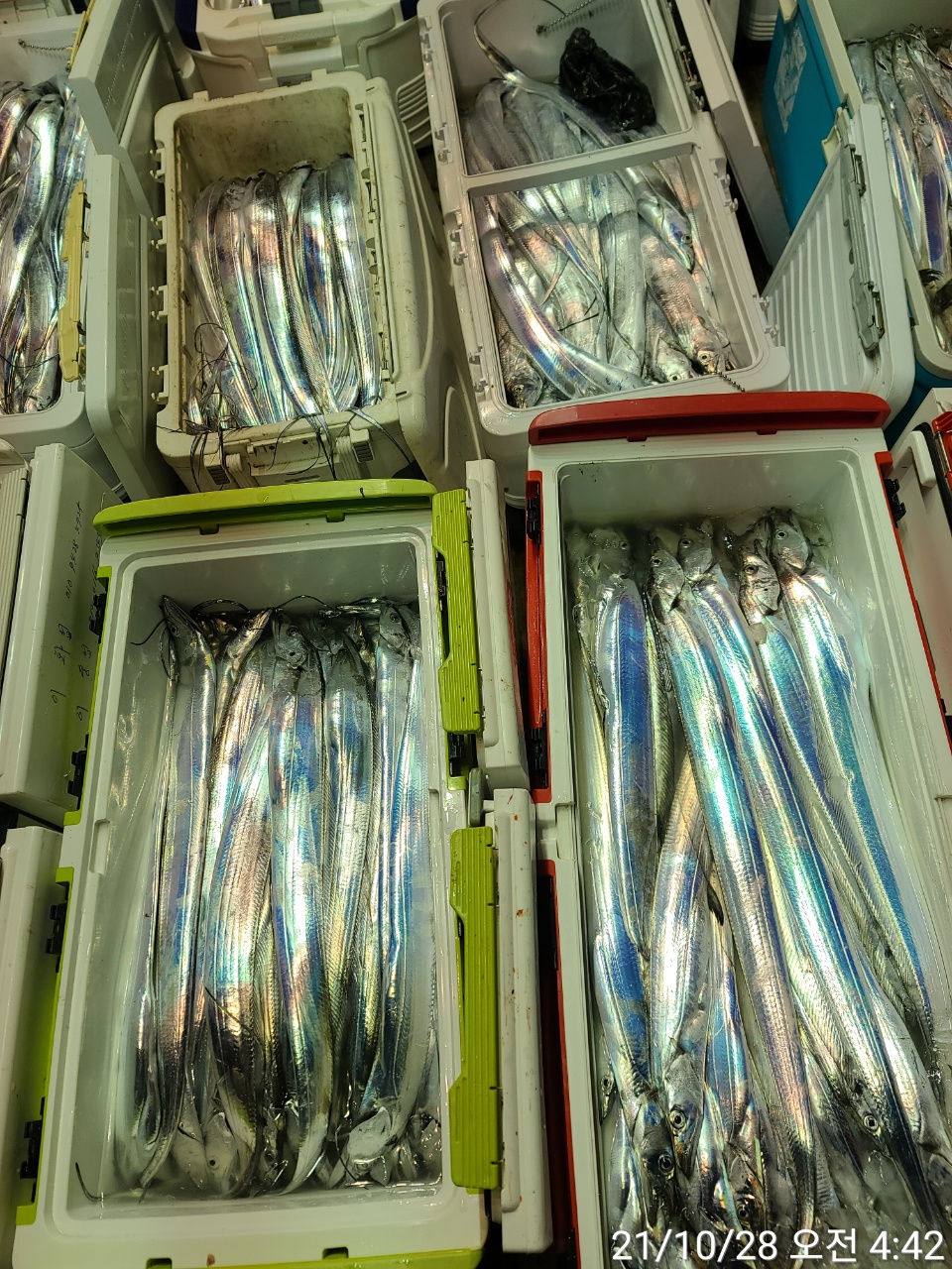 media&amp;token=bfdbd7bc-ddf7-4f4a-a3cb-2edb38ed8caf