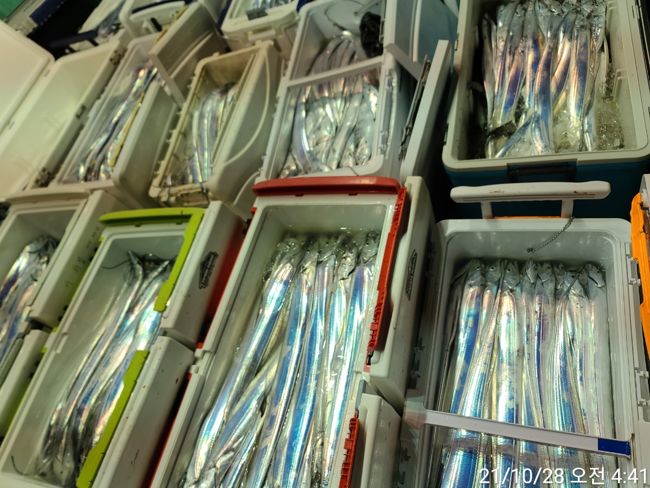 media&amp;token=3243979d-e8aa-4612-a831-157340014229