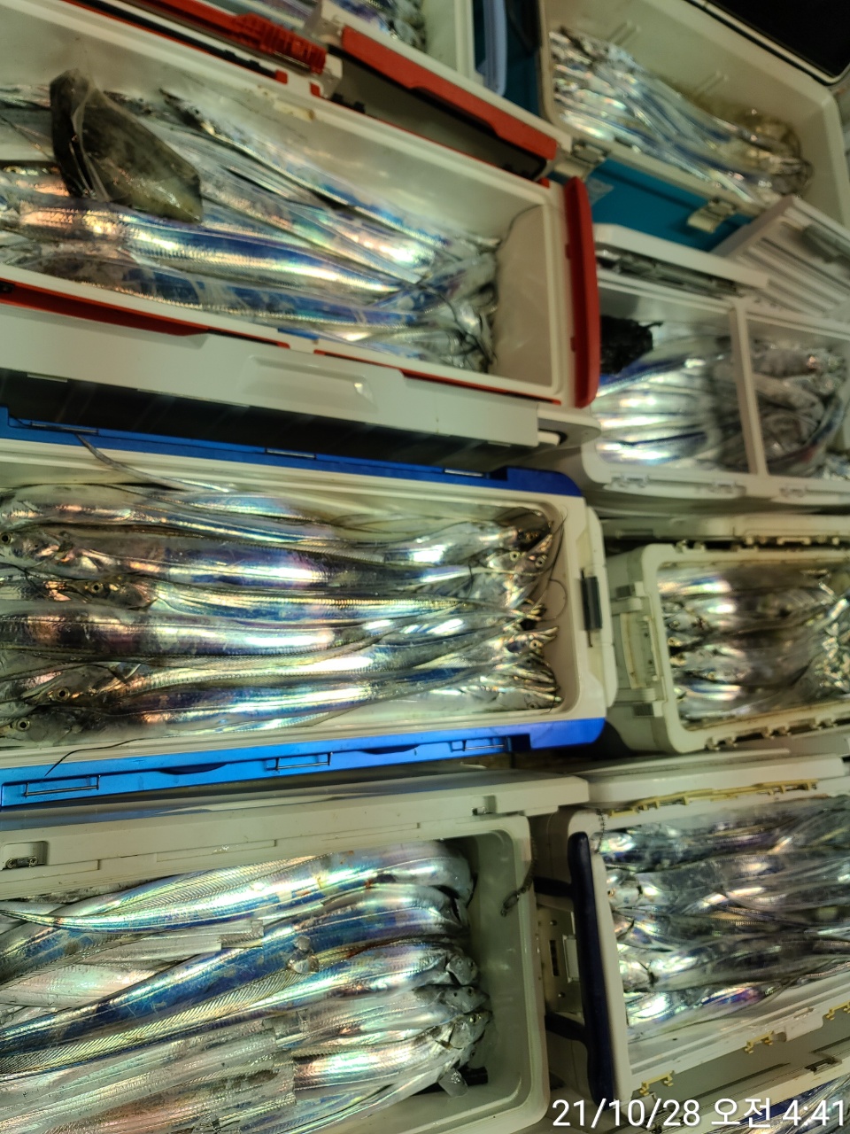 media&amp;token=55ca250d-7e5a-44e9-8da3-31f07e36ba13