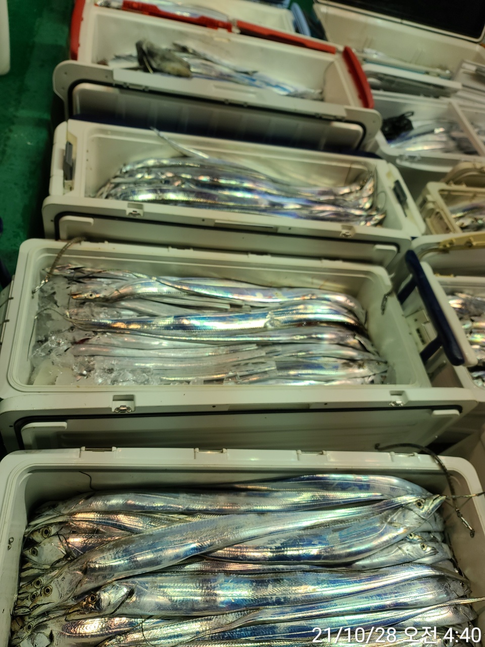 media&amp;token=b6128bc9-3766-43bc-a96d-1ed0d4ce8ab2