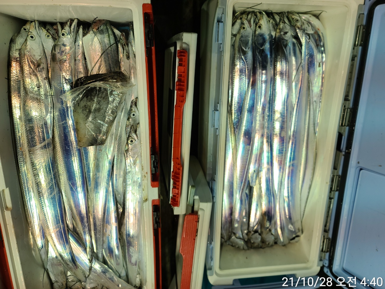 media&amp;token=bac1dc18-a262-4608-8c17-47579f205384