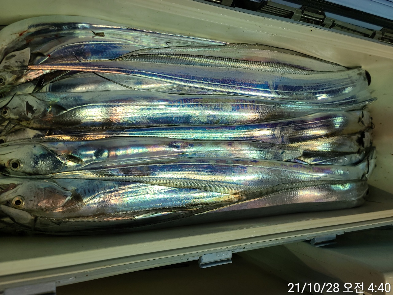 media&amp;token=0c7f453b-97d4-4b18-9a28-f42537ba9f74