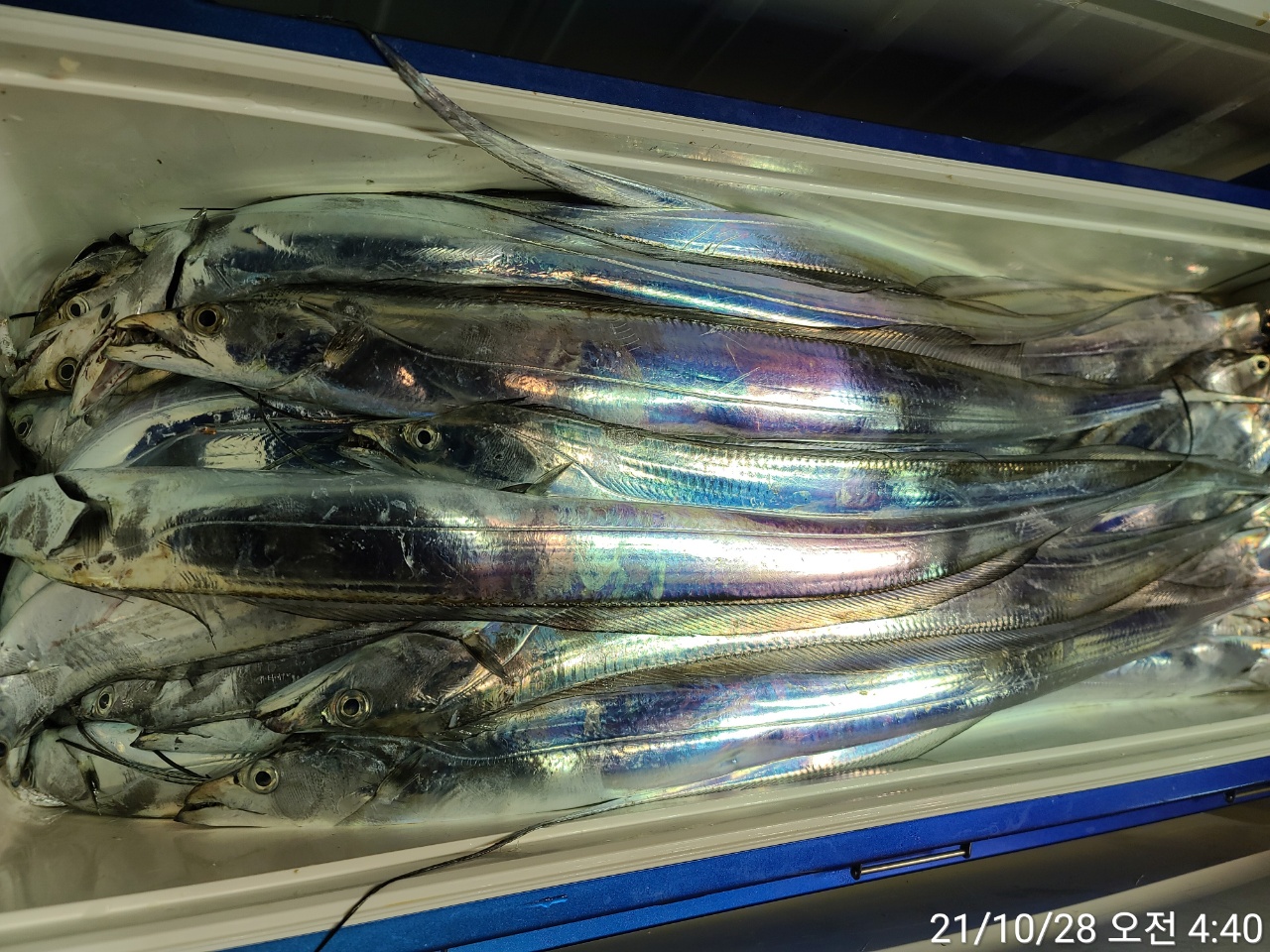 media&amp;token=dcd4c7cc-348f-4f13-a042-864f15ca8118