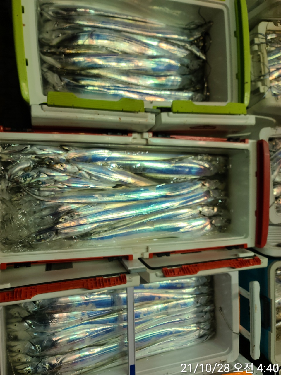 media&amp;token=36fdc280-716d-4c4d-b51f-ec66f14ab6ae