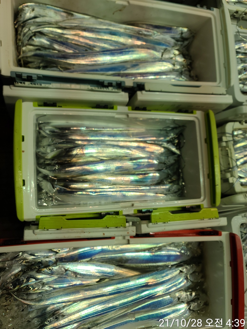 media&amp;token=867ff2a8-9222-436e-b291-dcc64af57558