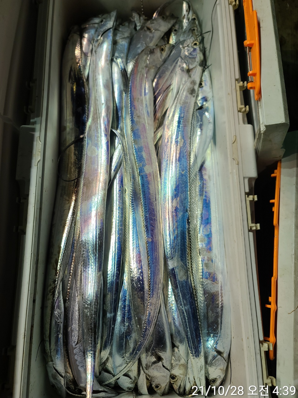 media&amp;token=de185dc8-7c55-4839-8452-33fdcaa139d1