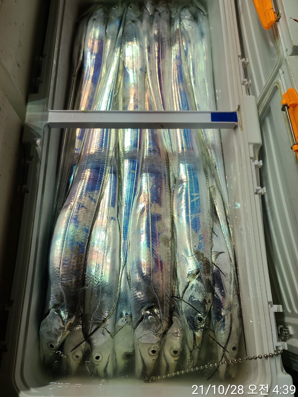 media&amp;token=dd7befc0-492d-4a61-8154-00847fc9a713