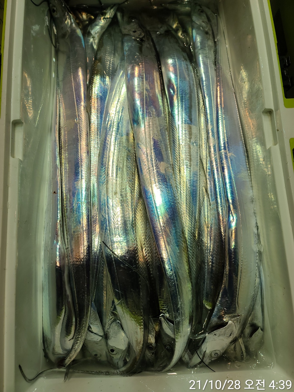 media&amp;token=c48549dd-cc62-484f-bd8b-fd6a4e057318