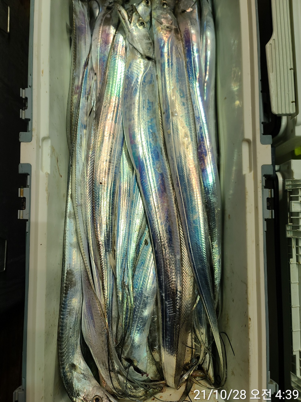 media&amp;token=dcc5cd5a-e4d7-4f96-b545-ffd6719c158d