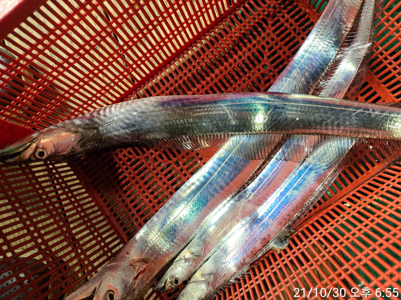 media&amp;token=75251e90-387b-4df9-a4cb-fcf3a3bfc03f